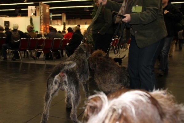 messe 06.02.14 002