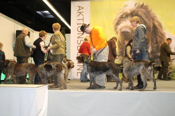 messe 0934