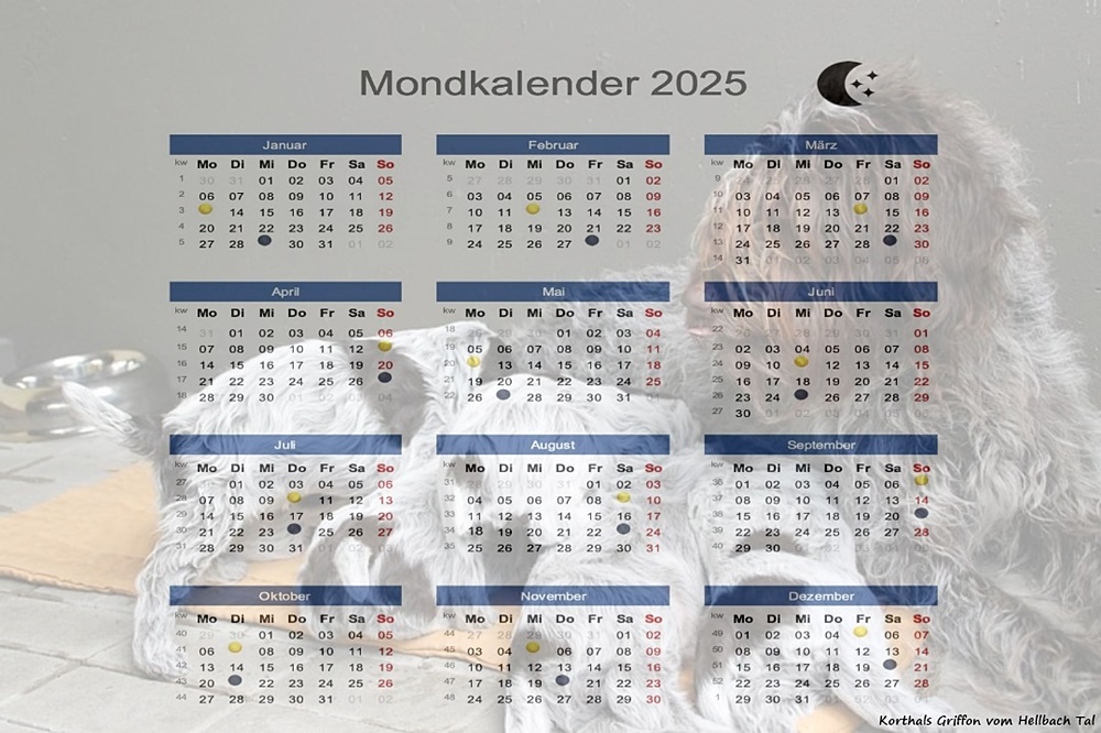 Mondkalender 2025