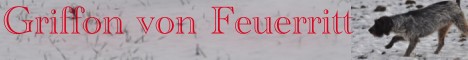 feuerritt