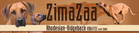 Zimazaa Rhodesian Ridgeback Züchter