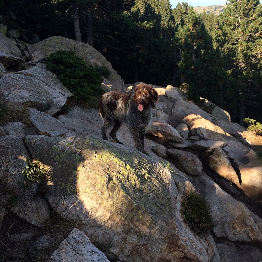 Balu 4